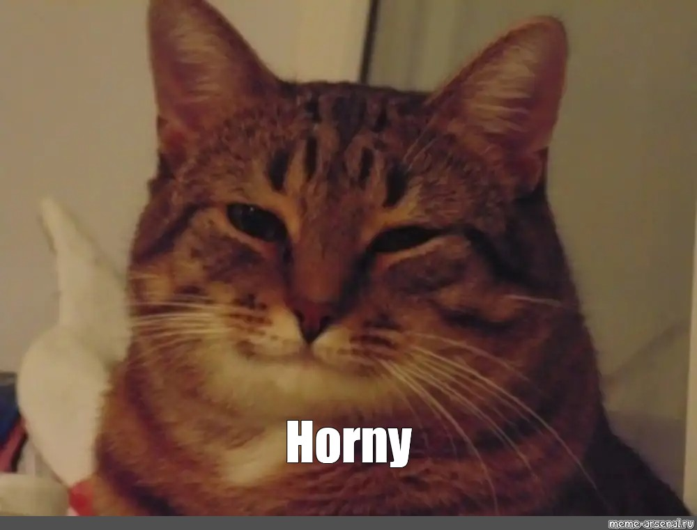 1784927633824-image.png