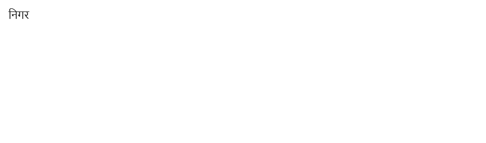1785578958430-निगर.png