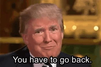1785579656904-1774453411991_4881.gif