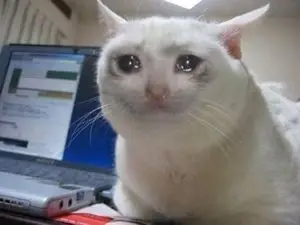 1771739231885-300px-Crying_Cat.jpg