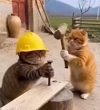 1784837980379-1000033124.webm