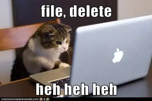 File deleted